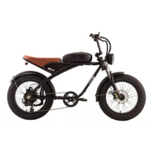 Bicicleta Elétrica S17